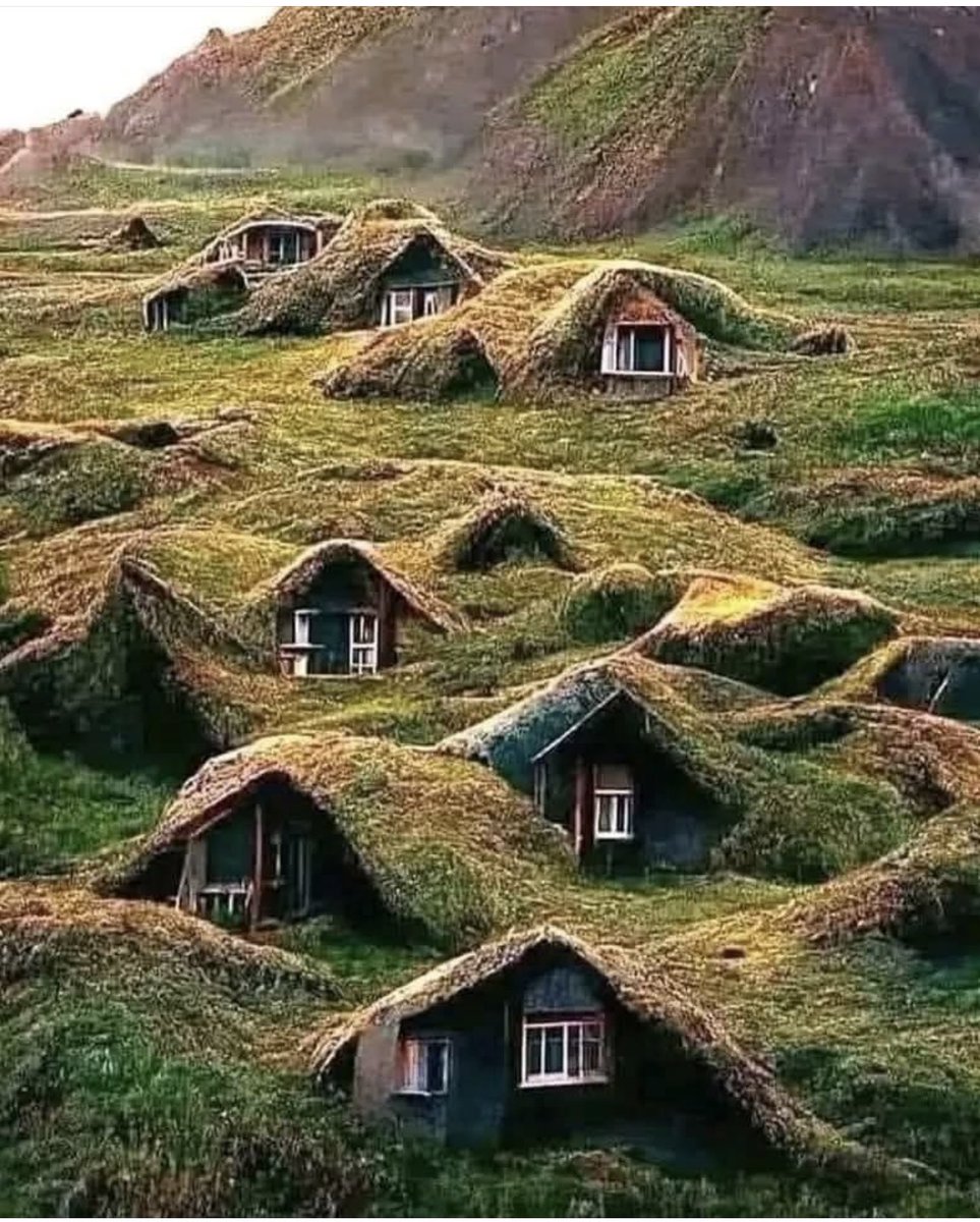 CharretChristo1's tweet image. Ces maisons se trouvent en Norvège, recouvertes de mousse, la chaleur ne s'en échappe jamais, le froid seulement parce qu'il n'y pénètre pas. Cette ingénierie a été réalisée par les anciens habitants vikings.