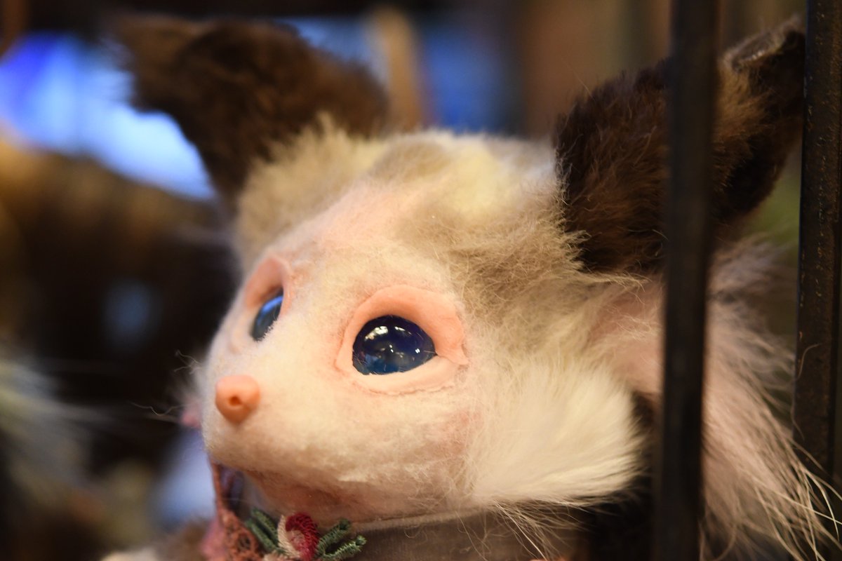 アートドール　離れぬコ❀作家様作品 アートドール - Search / X