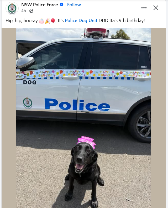 they post this shit whenever an officer has killed his wife and/or an unarmed aboriginal teenager