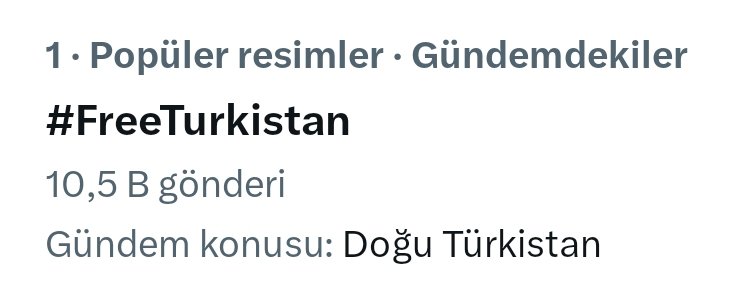 Türkiye gündeminde 1. Sıradayız. Rica etsem yoruma #FreeTurkistan yazar mısın?
