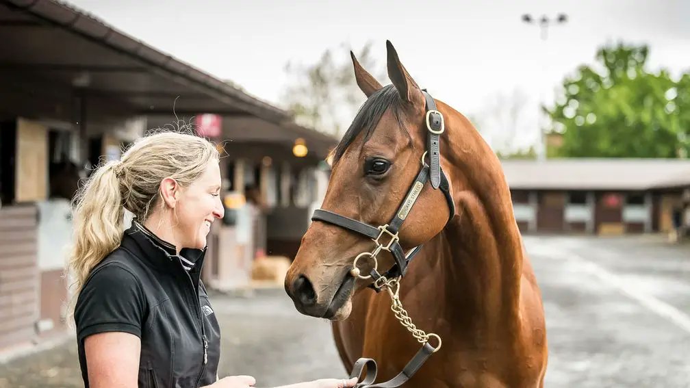 Racing Post Bloodstock (@rpbloodstock) on Twitter photo "It’s easy to say now but I loved him as soon as he arrived, everyone did. He was a bit raw but the frame was there, with size, scope and presence."  
Gewan a Group 1 first for Longways Stables, read in today's Good Morning Bloodstock 👉 bit.ly/43iH71J "It’s easy to say now but I loved him as soon as he arrived, everyone did. He was a bit raw but the frame was there, with size, scope and presence."  
Gewan a Group 1 first for Longways Stables, read in today's Good Morning Bloodstock 👉 bit.ly/43iH71J
