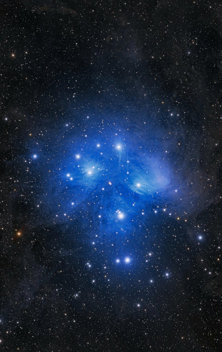 The Seven Sisters ✨