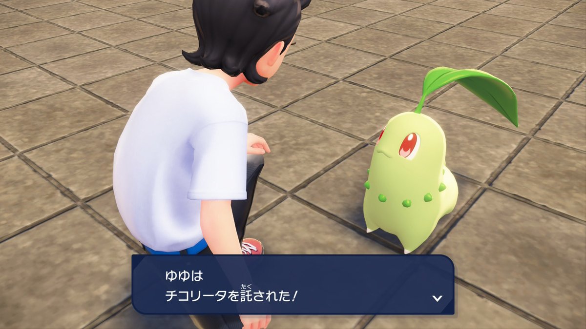 よろしくチコリータ