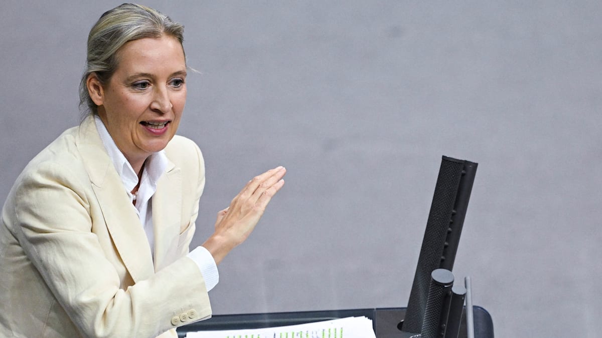 WELT tweet media