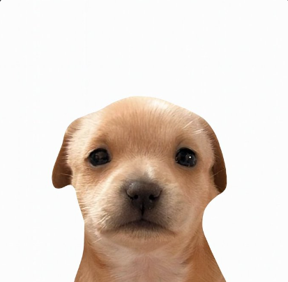 FRS birce tweet media