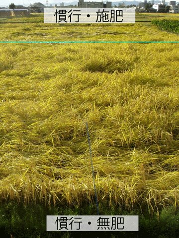 現代農業 (@gn_nbkbooks) / Posts / X