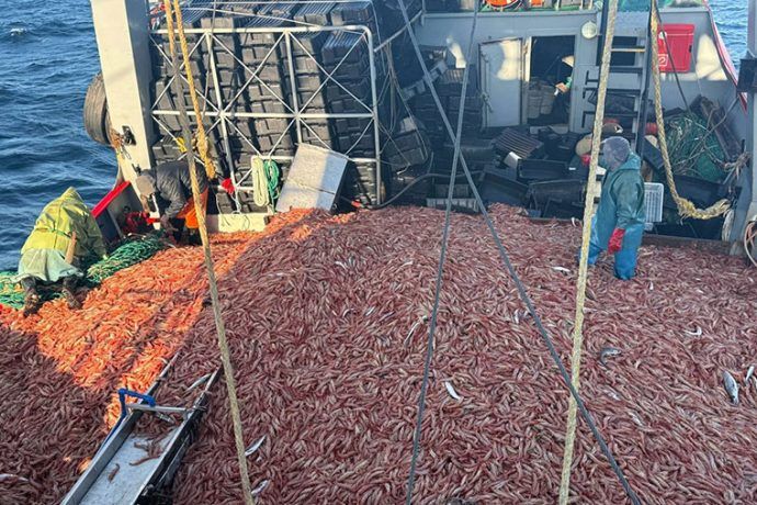 Langostino en aguas nacionales: la certificación MSC entra en su etapa final | revistapuerto.com.ar/2025/10/langos…