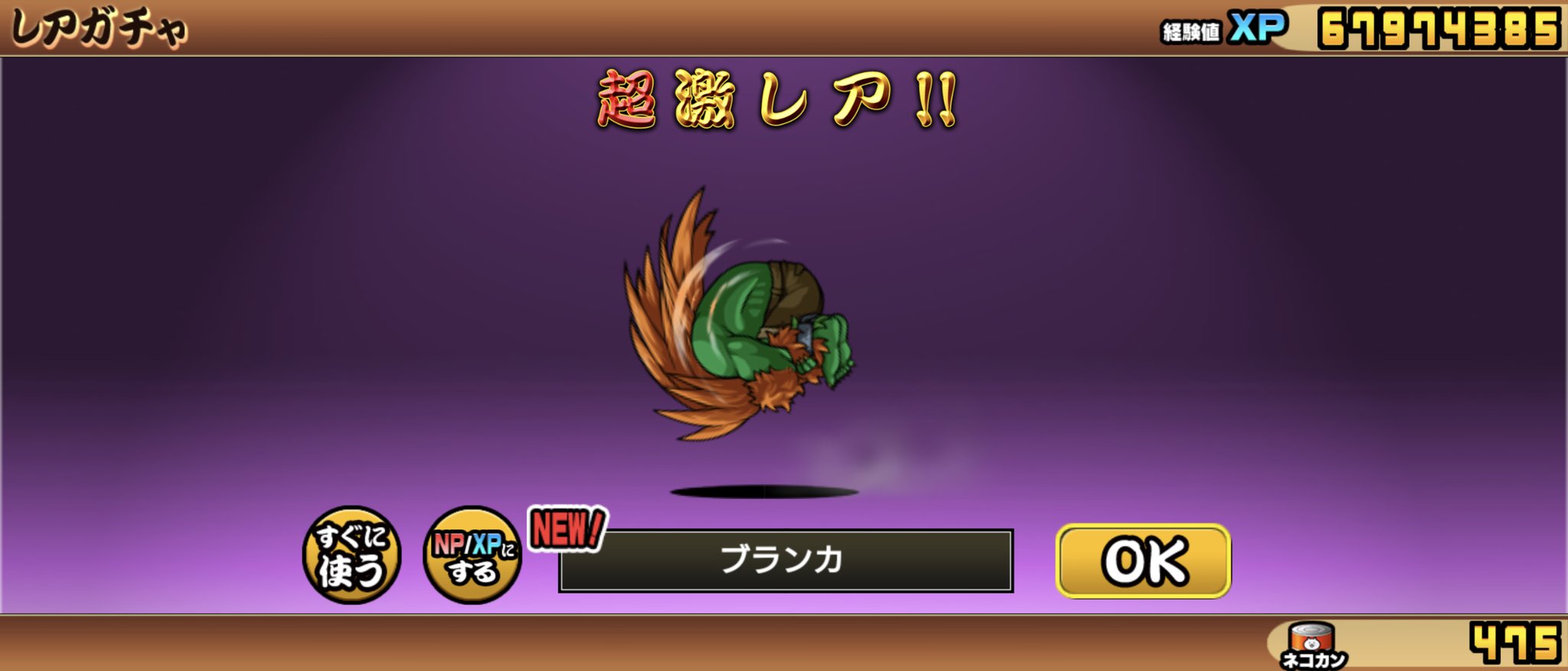 ブランカ にゃんこ