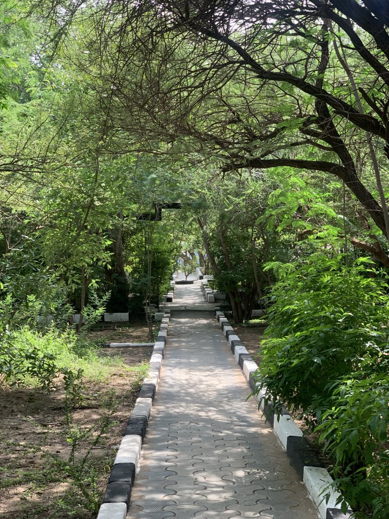 اما الآن الأرض ارضي والمدار مداري أصبحت الديارُ دياري و الرّفاق رفاقِي وأصبح المكانُ يعرفني
أنا الآن في دياري وليسَ عبثاً "💓