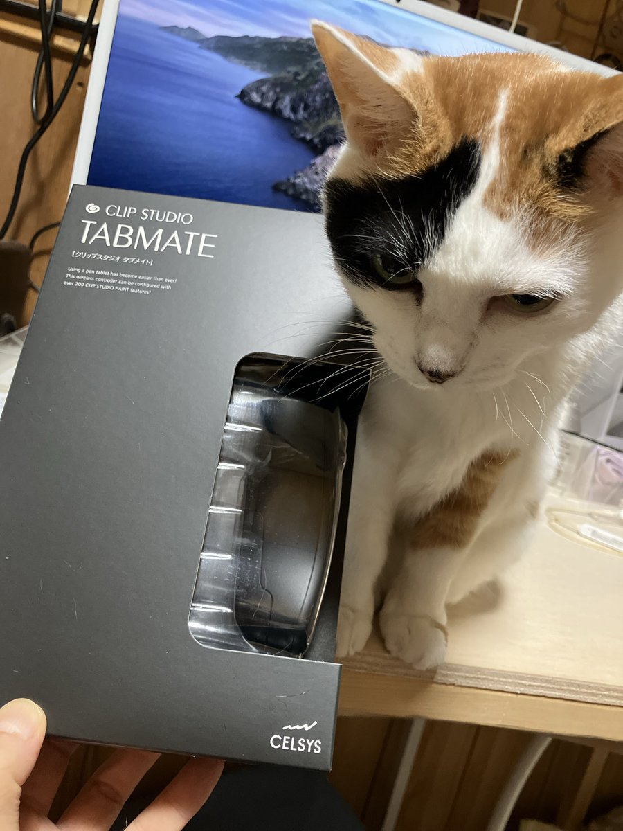 tukiumimama's tweet photo. 割引だったのでついに買っちゃいました✨#TABMATE デジタル画も頑張っちゃうぞ〜(*•̀ㅂ•́)و✧まともに作品にした事ないもんね〜d(˙꒳​˙* ) https://t.co/XvvEulssNi