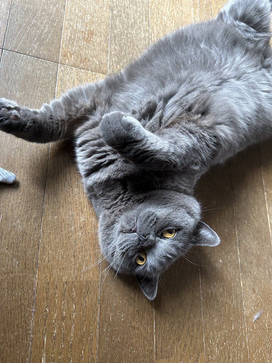 さわ❤️ さわぴ (@sydr1449) / Posts / X