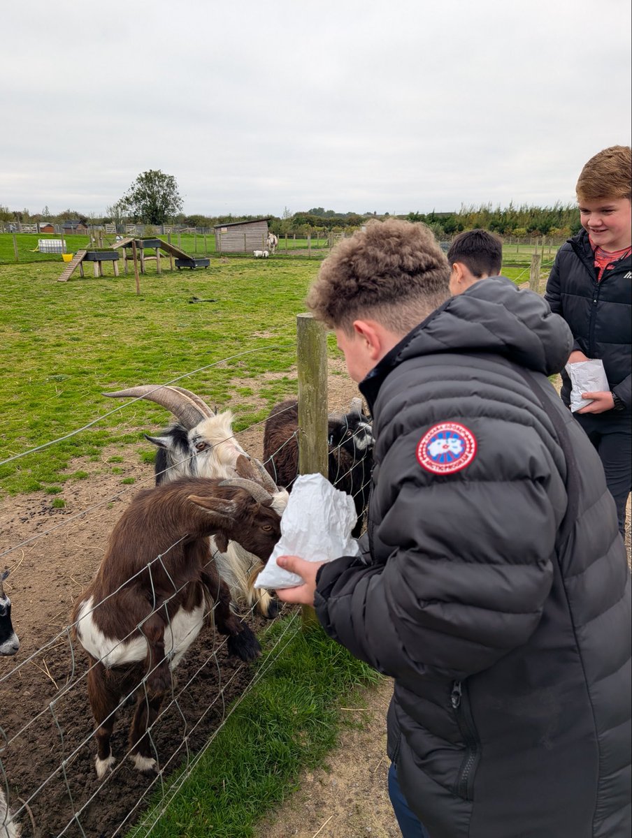 Pupils have been working on money problems in lessons this week ahead of their trip to Apple cast farm. They were given £10 each to spend at the farm cafe and had to plan how they were going to spend it. Pupils had a great day out!