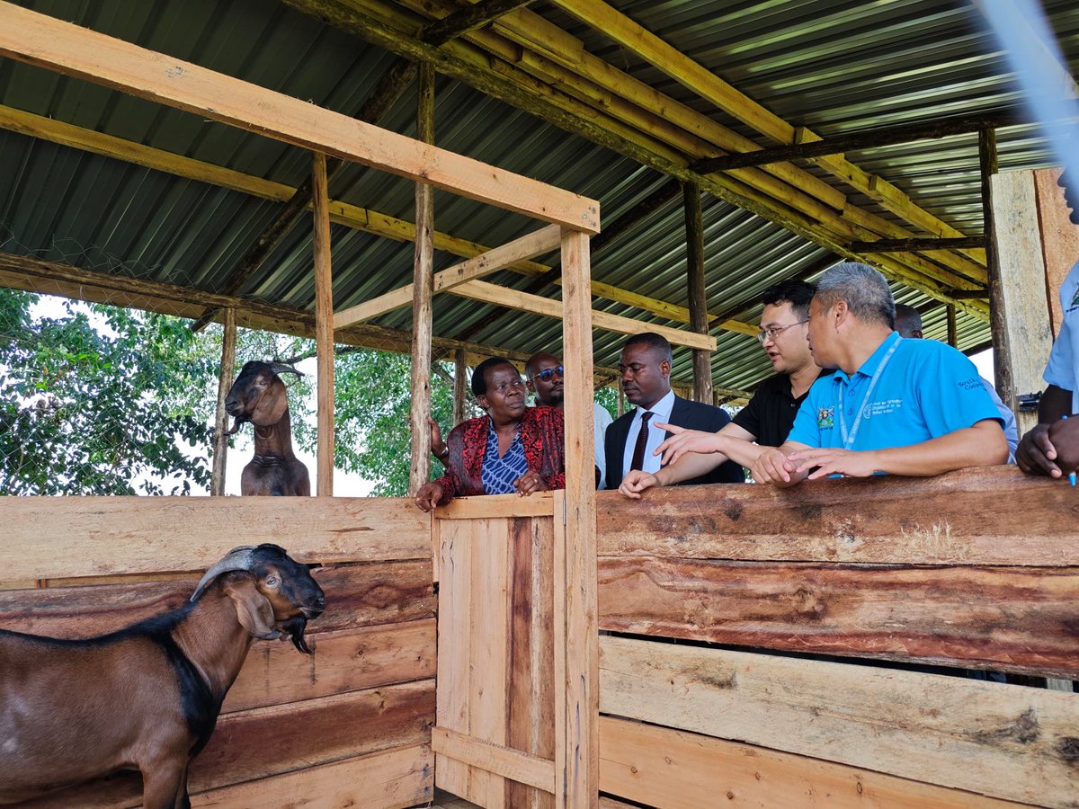 MAAIF_Uganda's tweet photo. ❇️Distribution of 10 floating fish feed making machines to 10 districts in Eastern Uganda
❇️ Establishment of a 1,400-broiler poultry demonstration and a 200-heads of beef cattle demo and
❇️ introduction of 9 big-ear goats from China for breeding and multiplication, among others. https://t.co/IGUsWWooK3