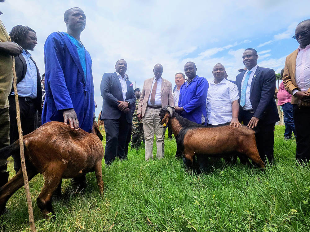❇️Distribution of 10 floating fish feed making machines to 10 districts in Eastern Uganda
❇️ Establishment of a 1,400-broiler poultry demonstration and a 200-heads of beef cattle demo and
❇️ introduction of 9 big-ear goats from China for breeding and multiplication, among others.