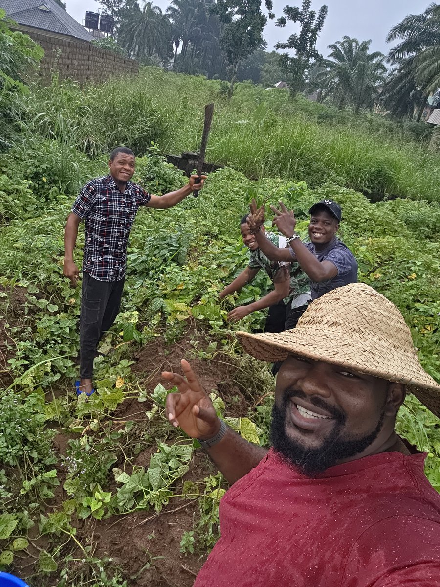 PhtEmmanuelO's tweet image. Harvest now or strangers will help upu harvest 😄 🤣 😂.  #SweetPotatoes