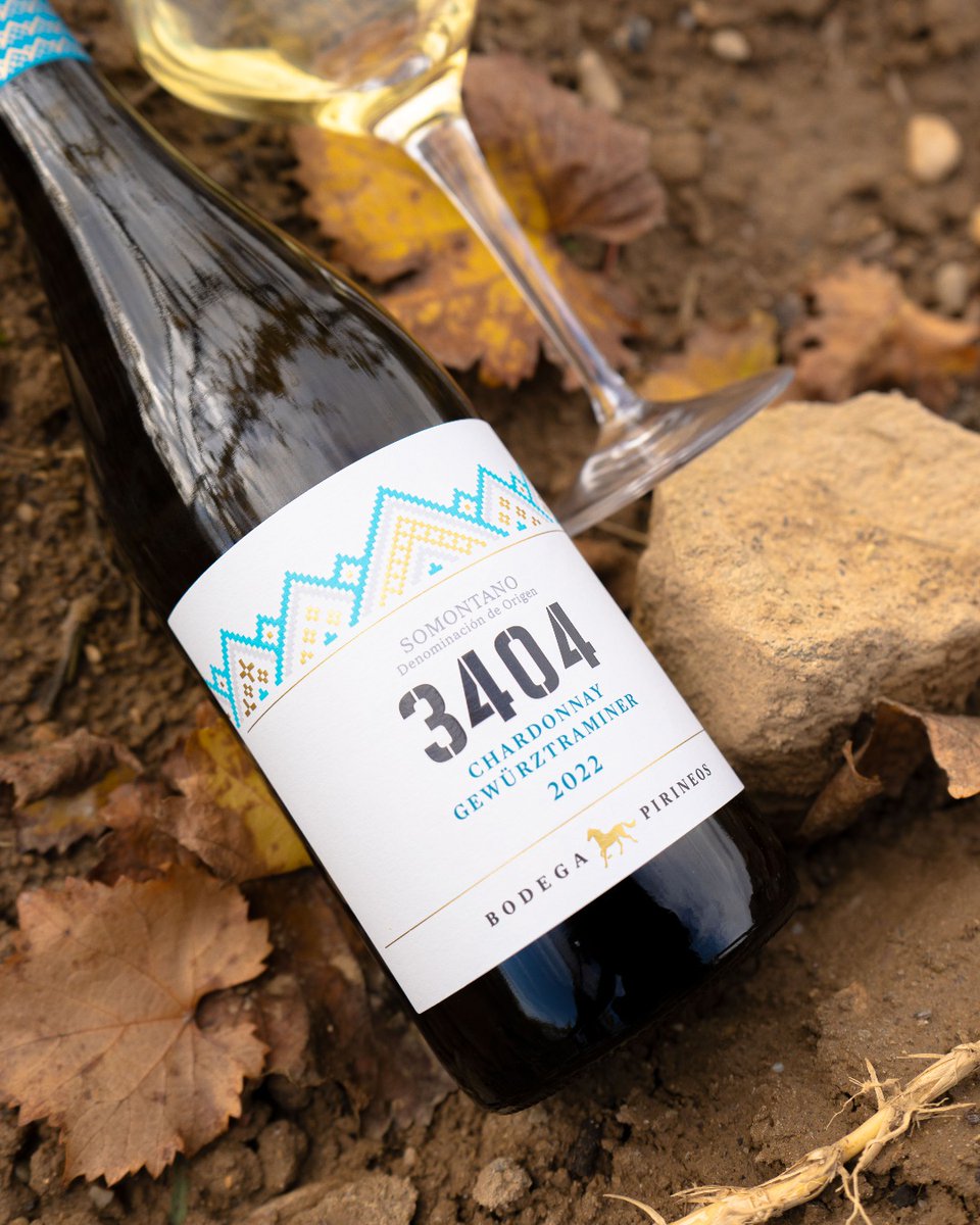 Se ha quedado un día que sabe a Pirineos Chardonnay. Fresquito, único. ✨ Cheers!
#bodegapirineos #aragon #somontano #vinosdelsomontano #dosomontano #turismosomontano #territoriopirineos #vinoblanco #chardonnay