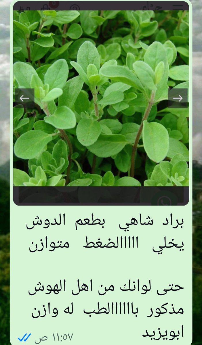 aboyazed102's tweet photo. https://t.co/r4ccbOoBe2