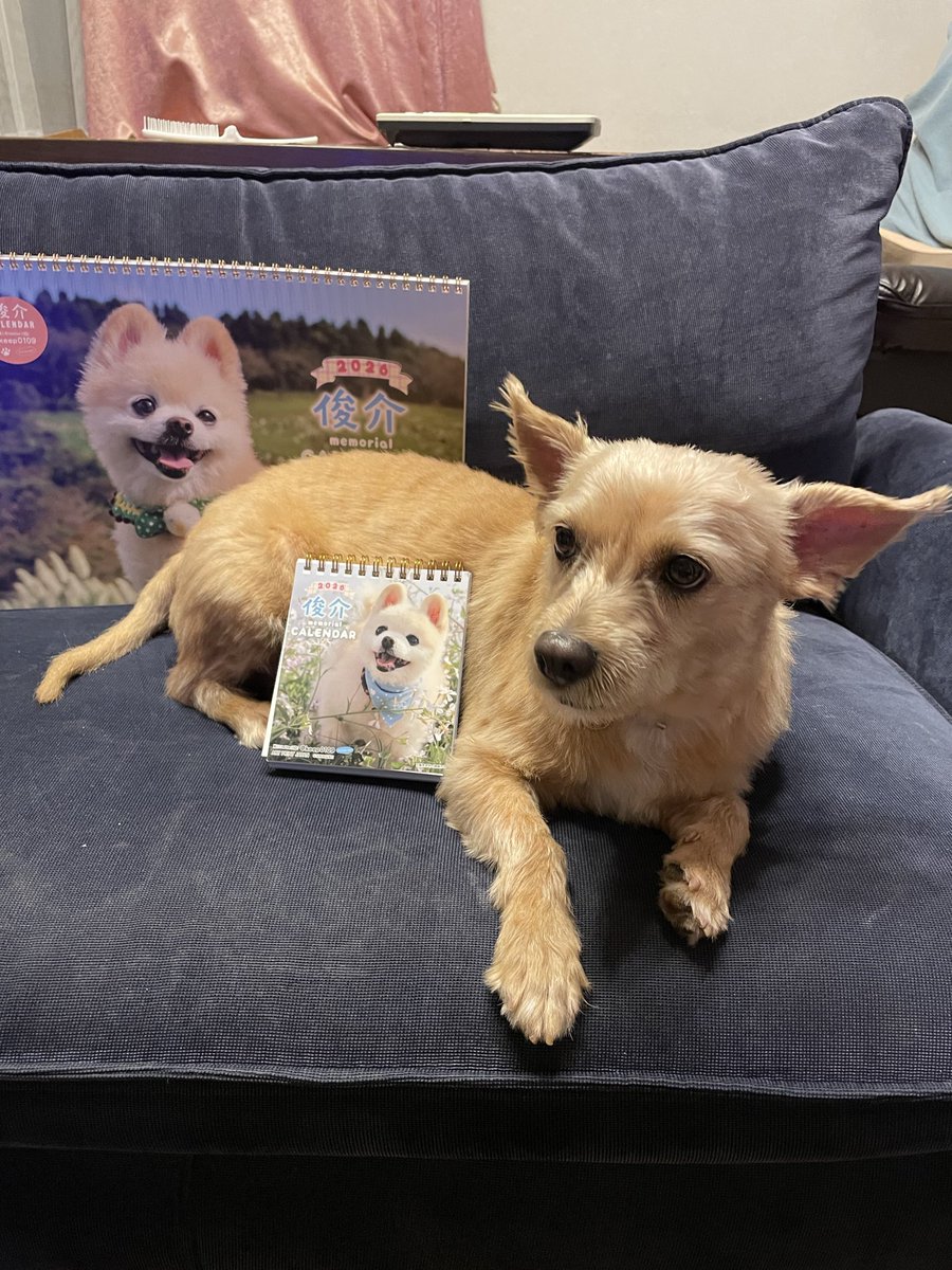 shun mama tweet media