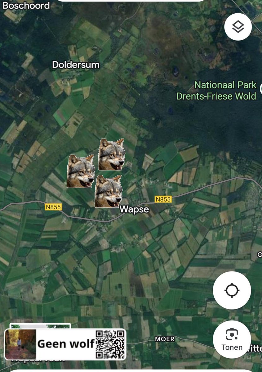 🐺 wolfalert wolvenmeldpunt GeenWolf ❌🐺 
zichtmelding 
15-10-25 // 10.55
Wapse Drenthe 

3 wolven waargenomen in weiland te Wapse, onbekende looprichting.

🐺 meldingen liefst zsm met GoogleMaps 📌 naar wa 
31617018889
geenwolf.com

<a href="/GeenWolf/">Wolvenmeldpunt Geen Wolf</a>
