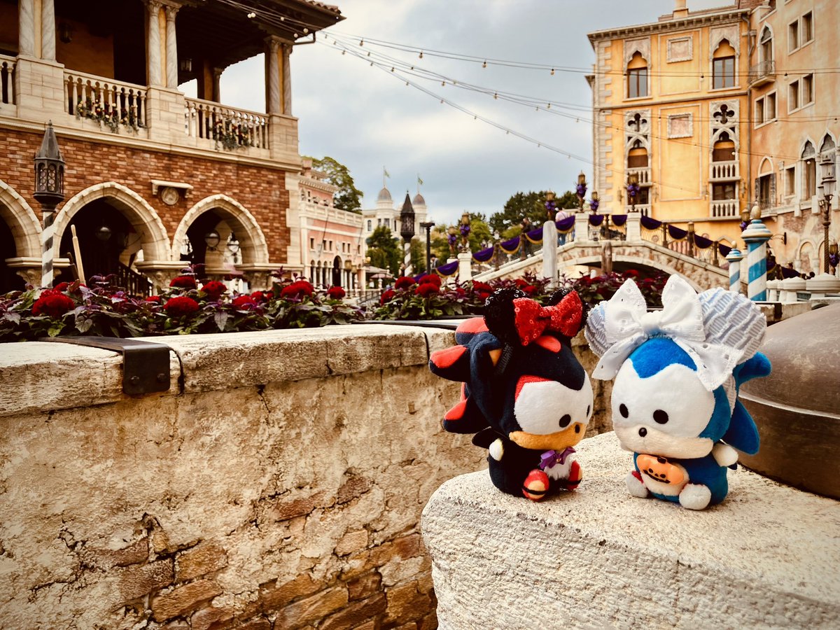 昨日は夢の海行ってました🌊ちょっと雨っぽかったのが実に残念DA！
こ〜ろちゃん、カチューシャ似合いすぎて可愛いネ……🫶