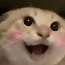 #币安人生 是币安用户的人生追求，#哈基咪 是币安用户的精神象征，#修仙 是币安用户的终极理想
<a href="/cz_binance/">CZ 🔶 BNB</a> <a href="/heyibinance/">Yi He</a> <a href="/hajimi_CTO_BNB/">哈基米</a>  <a href="/CryptoDevinL/">CryptoD | 1000X GEM</a> <a href="/0xmasiwei/">Masiwei</a> @fftuan2