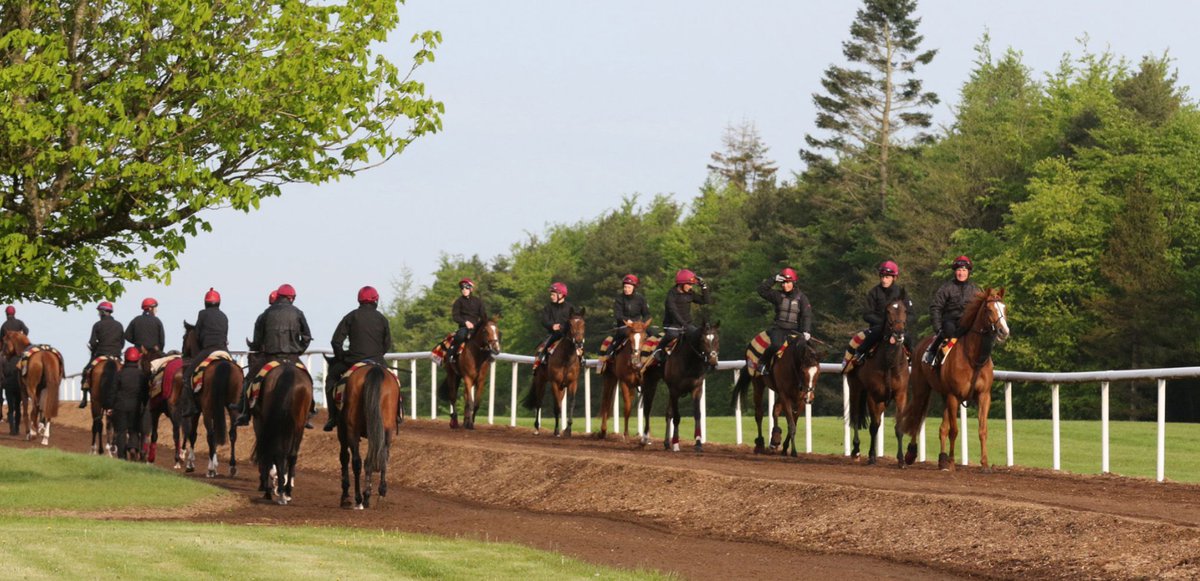 Ballydoyle Racing tweet media