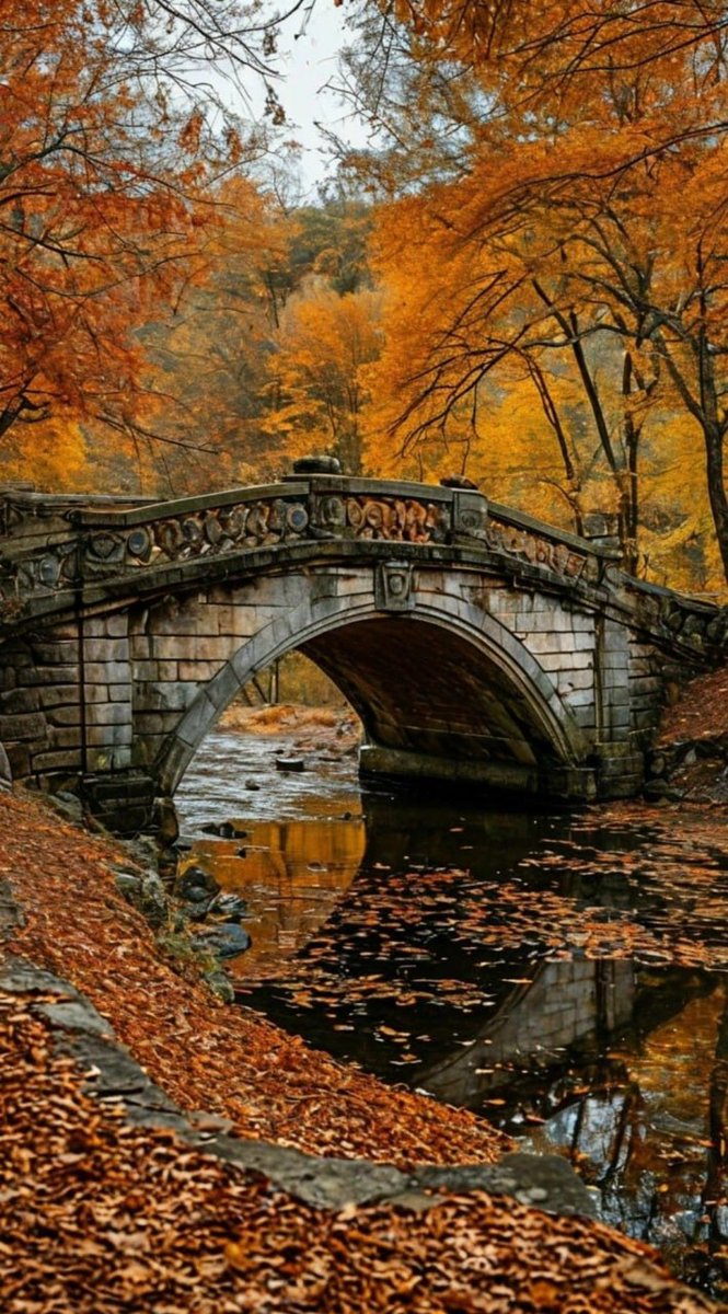 Epic Posts Daily 𝕏 (@wallacebeaufort) on Twitter photo 