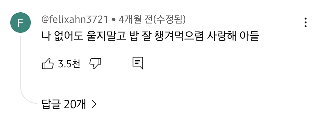 초멘 죄송합니다
태종 유언을 좀 친근하게? 여느 부자스럽게? 고치면 이거같은데
난 이걸보고 영원히 울 수 밖에 없음...