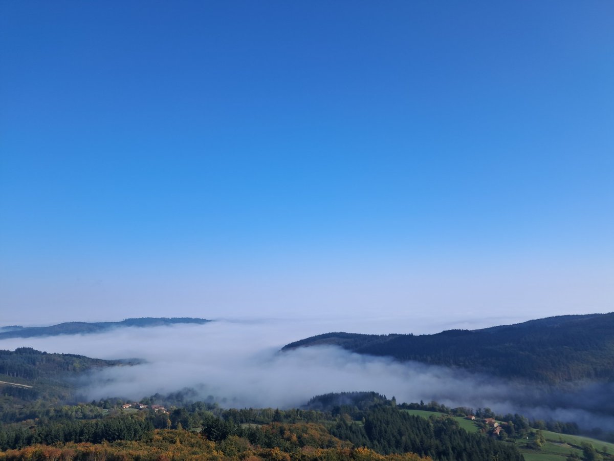 🇫🇷 F4ECA Fred tweet media