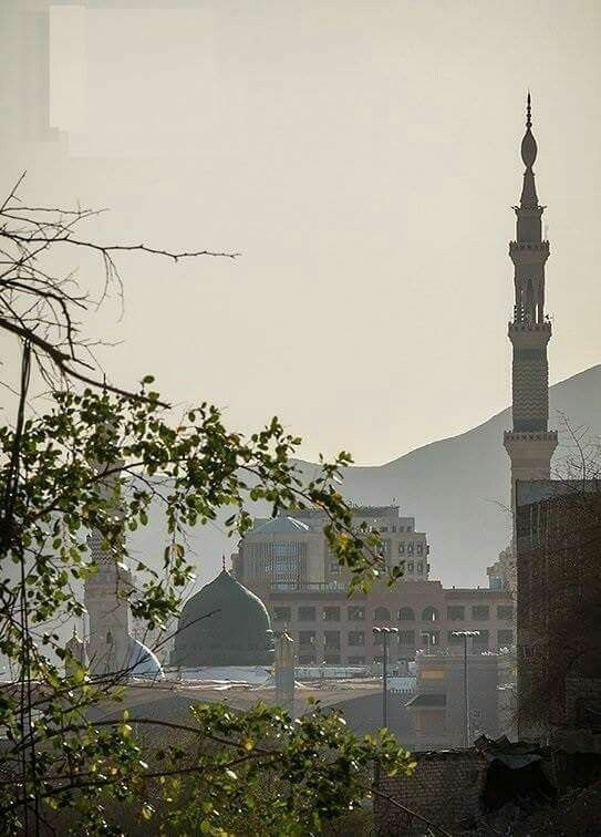 حُبُّهُ شُغلي وفَنّي..