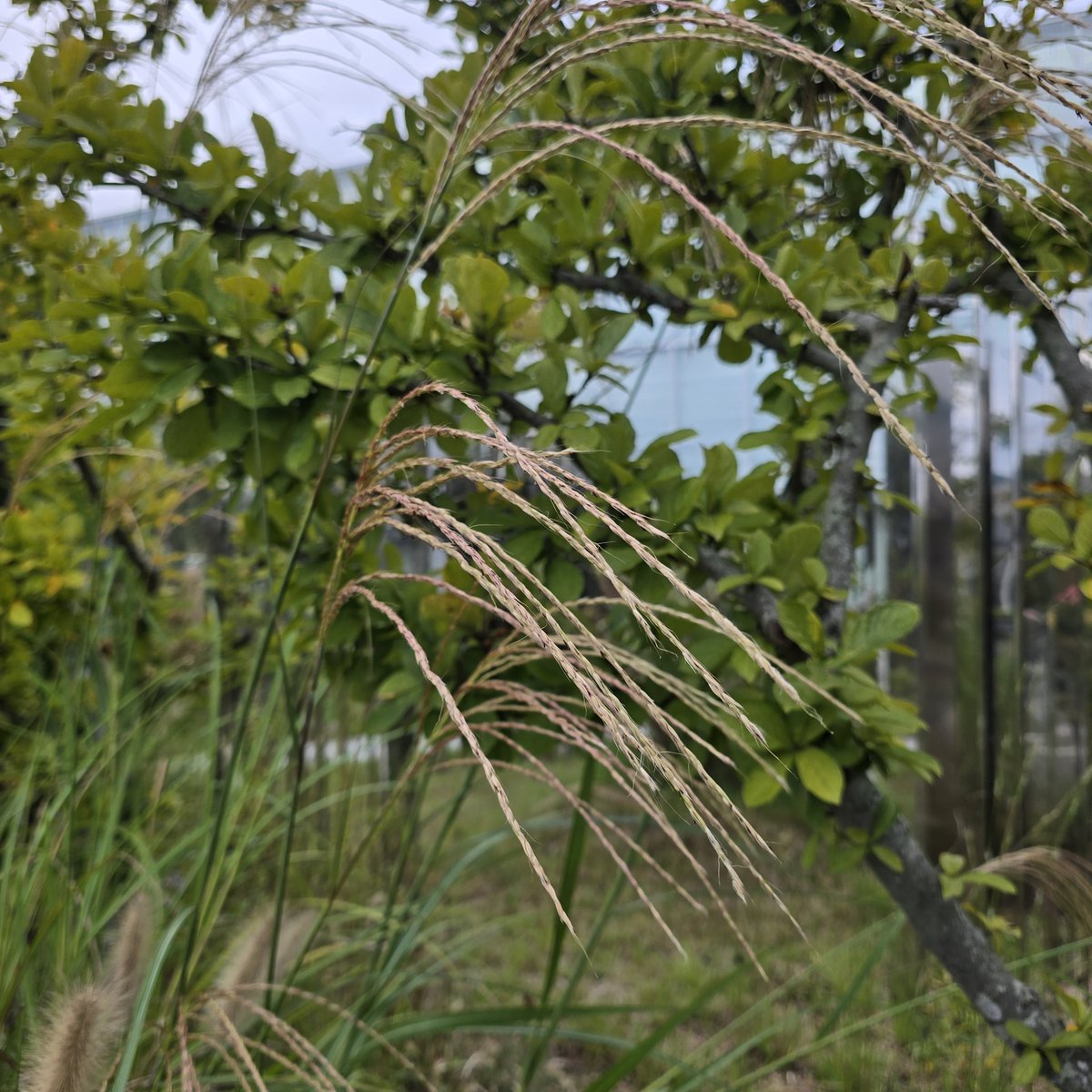 마술피리 (@tpstm301) on Twitter photo 