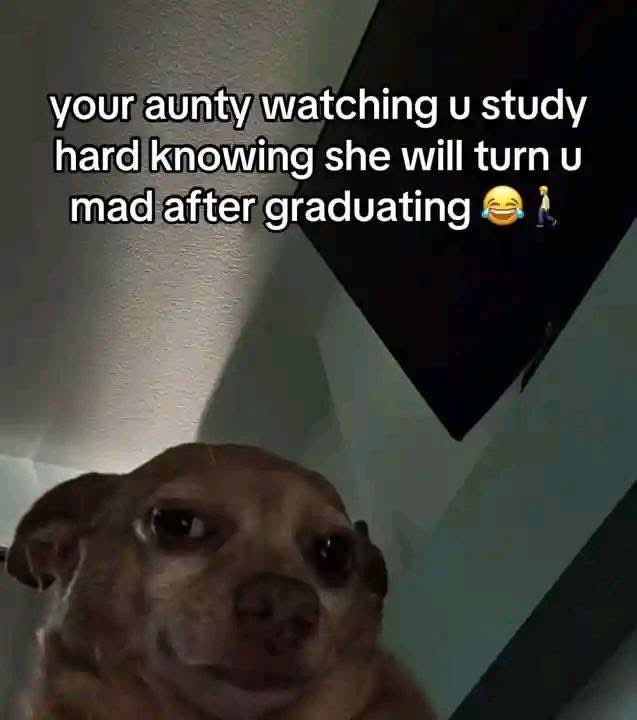 CallMeMae_c's tweet image. This is the craziest thing I&apos;ve seen today 😂😂