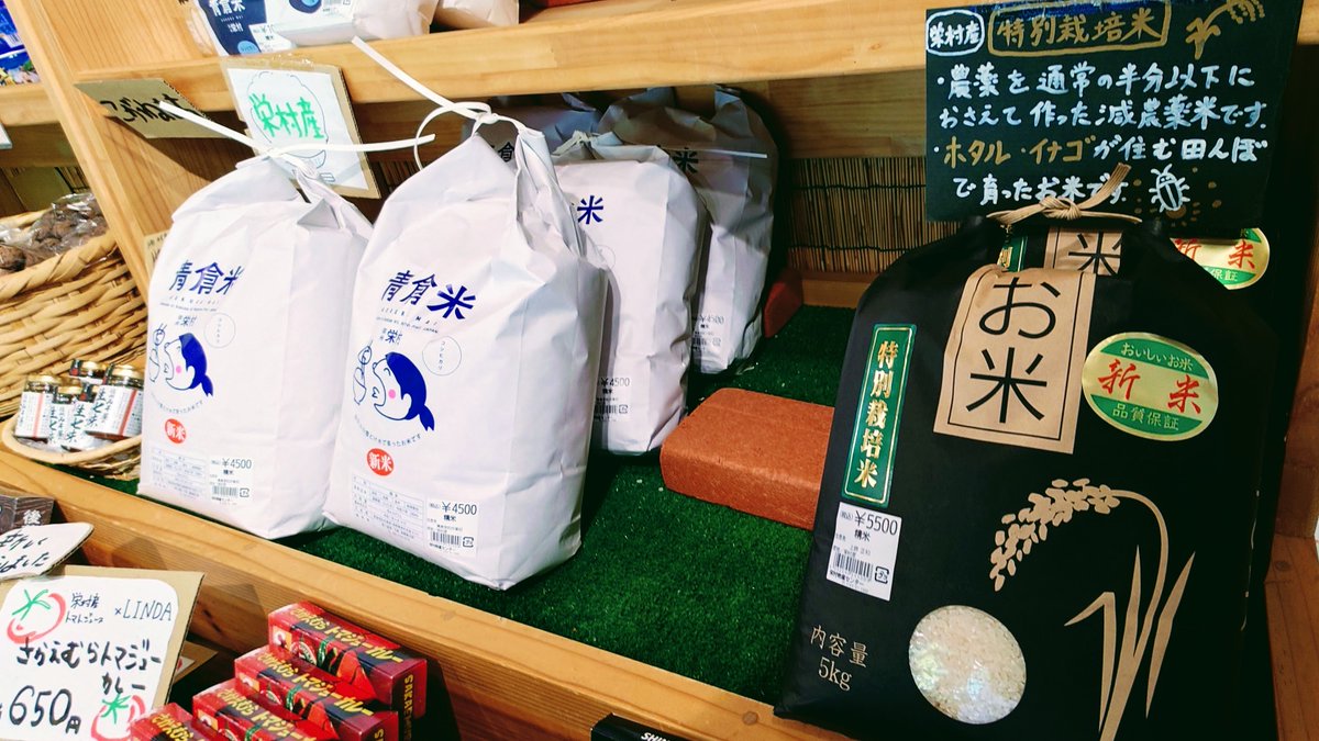 2025/10/17(金)

「ケニー大倉のポップンロールコレクション」（11：00～12：00放送）のゲストは演歌歌手の酒井雅敏さんです。

 「ポップンロール情報局」のコーナーでは、長野県栄村「道の駅 信越さかえ」を紹介します。