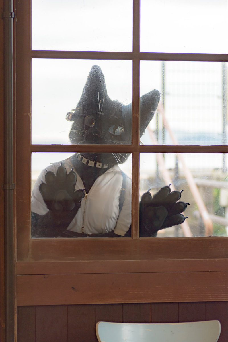 How do I open it?
 #FursuitEveryday 

📸 #Parisian621