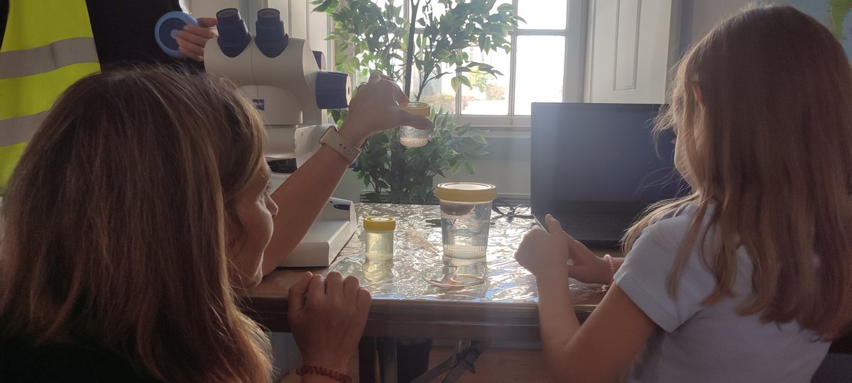 ESTM - POLITÉCNICO DE LEIRIA tweet media