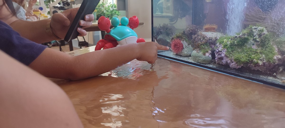 ESTM - POLITÉCNICO DE LEIRIA tweet media