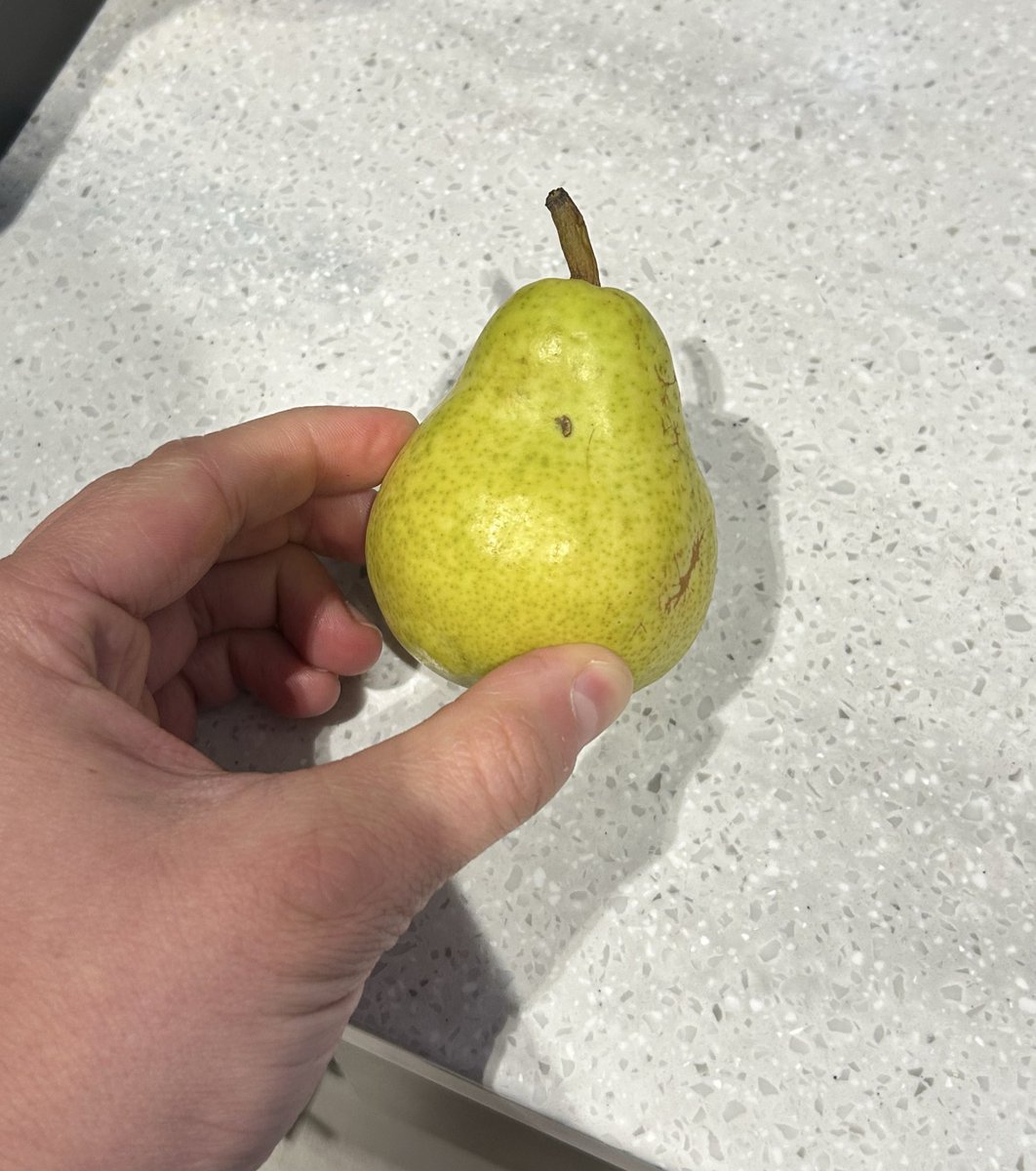 Pears so small they look like Sitrus Berries what’s going on today?!