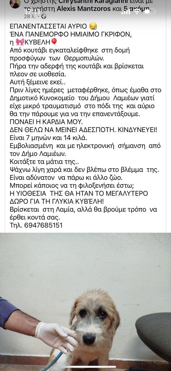 7 μηνων κουταβι θα βγει στο δρομο! Ανοιξτε τα σπιτια σας!