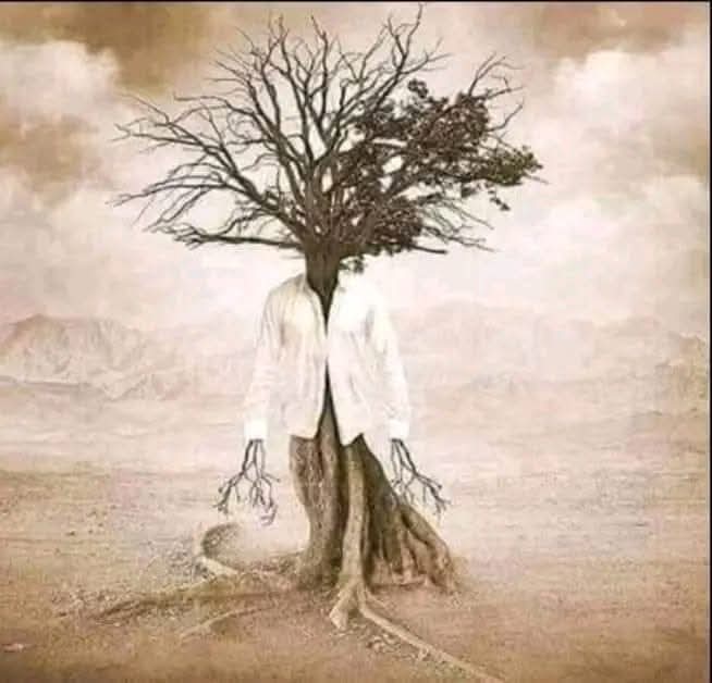 _आखिर किस फूल की निशानी  देते  तुझको,_
_तू जुदा ही ऐसे मौसम में हुई...._

_जब दरख़्तों के भी हाथ खाली थे,_
_.....और मौसम पतझड़ का था !!_