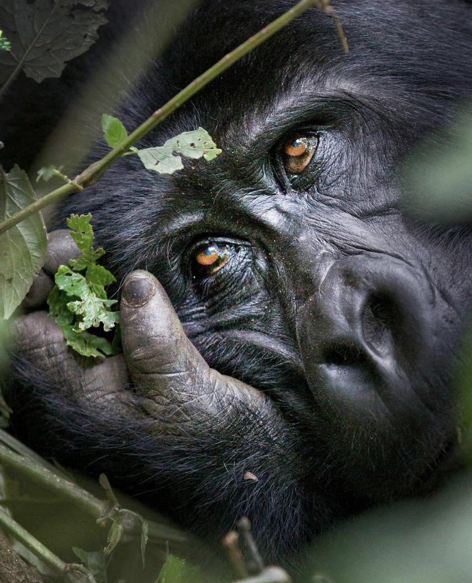 Tant de choses dans ce regard...