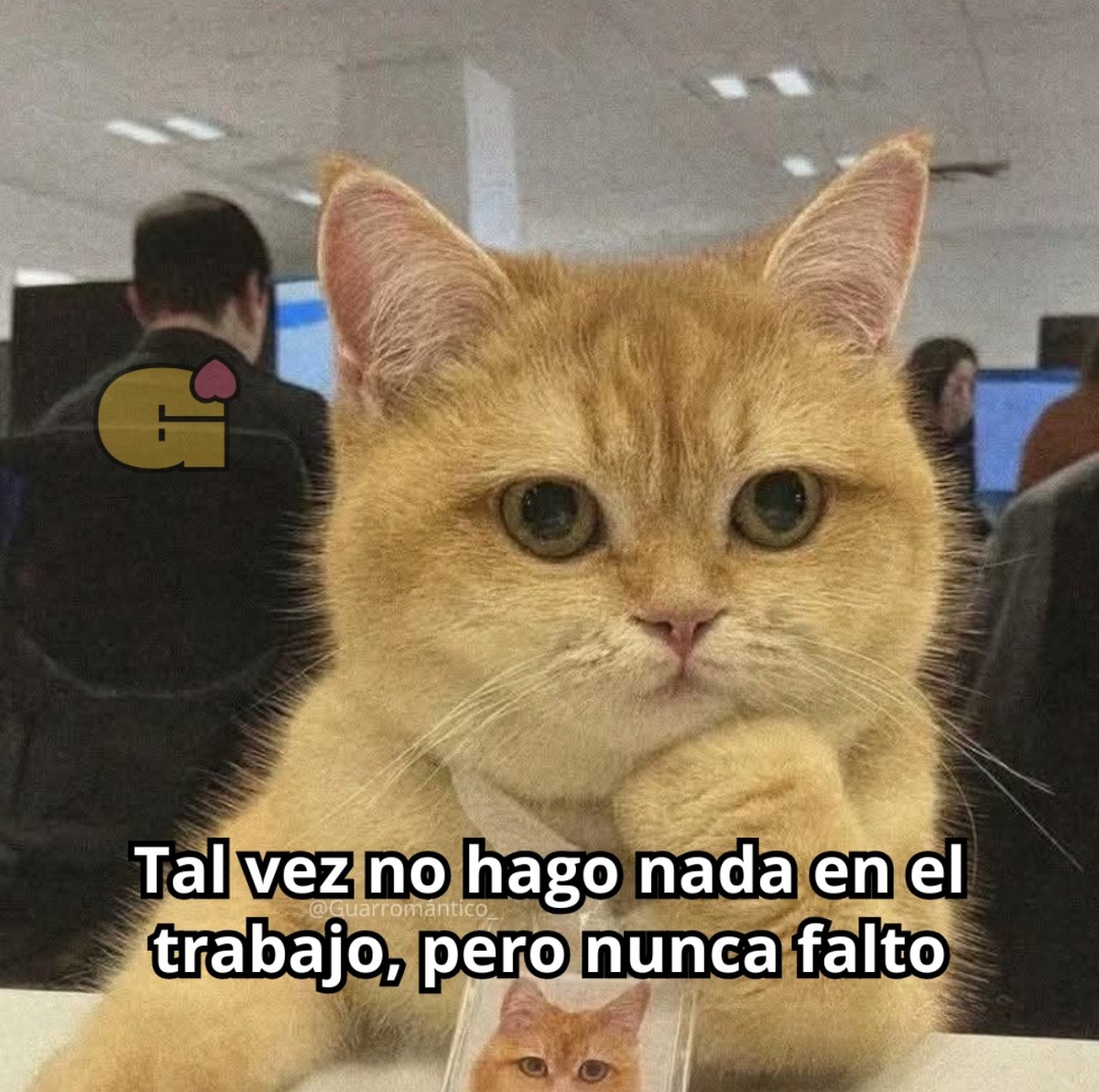 Tal vez.