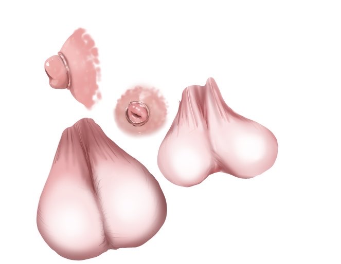 色々忘れてるから練習 