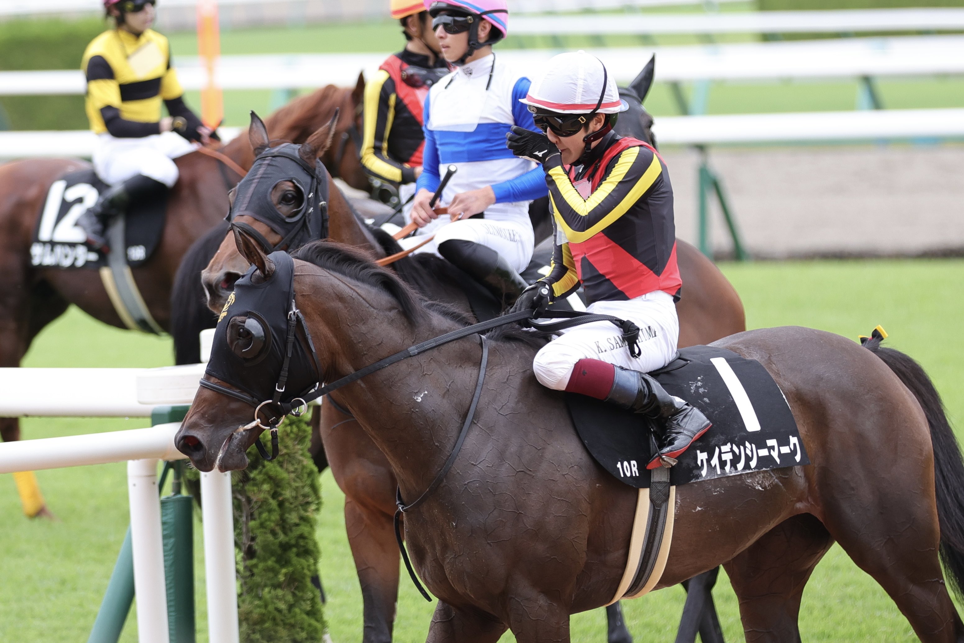 競馬最強の法則2013年10月号 Amazon.co.jp: 競馬最強の法則 2013年 10月号 [雑誌] : 本