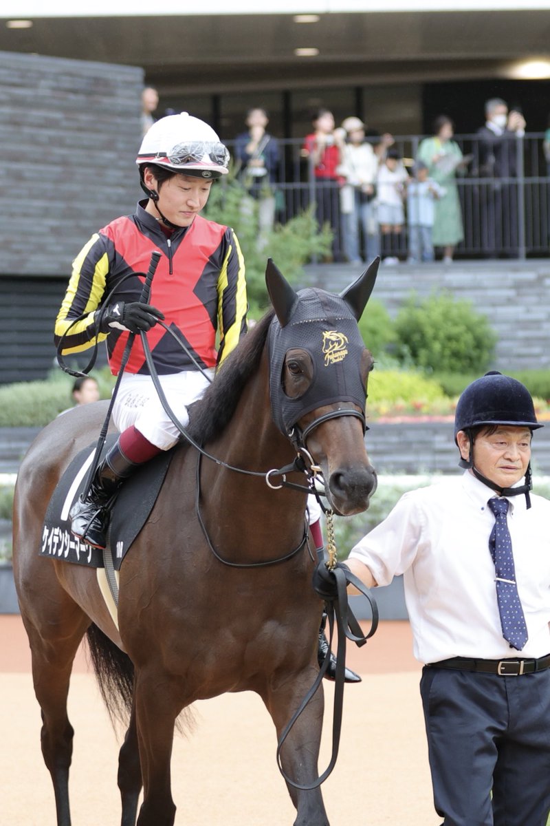 出資者さんに届くと良いな😊
2025年10月12日
京都競馬場10R 三年坂ステークス
#ケイデンシーマーク
#サンデーサラブレッドクラブ
