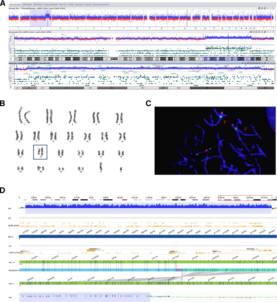 JMDiagn's tweet image. #LegacyContent: Multisite Evaluation and Validation of Optical Genome Mapping for Prenatal Genetic Testing.  
#OpenAccess text: jmdjournal.org/article/S1525-…
