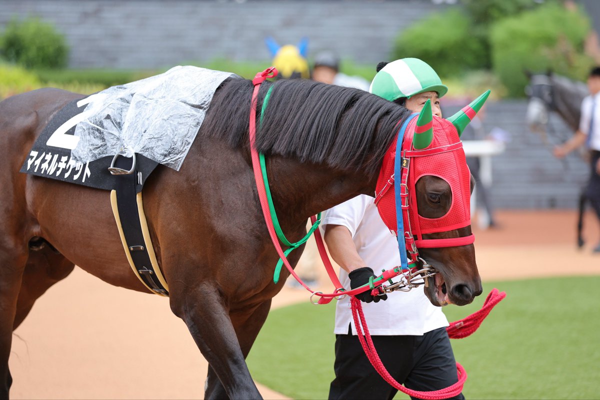 出資者さんに届くと良いな😊
2025年10月12日
京都競馬場10R 三年坂ステークス
#マイネルチケット
#ラフィアンターフマンクラブ