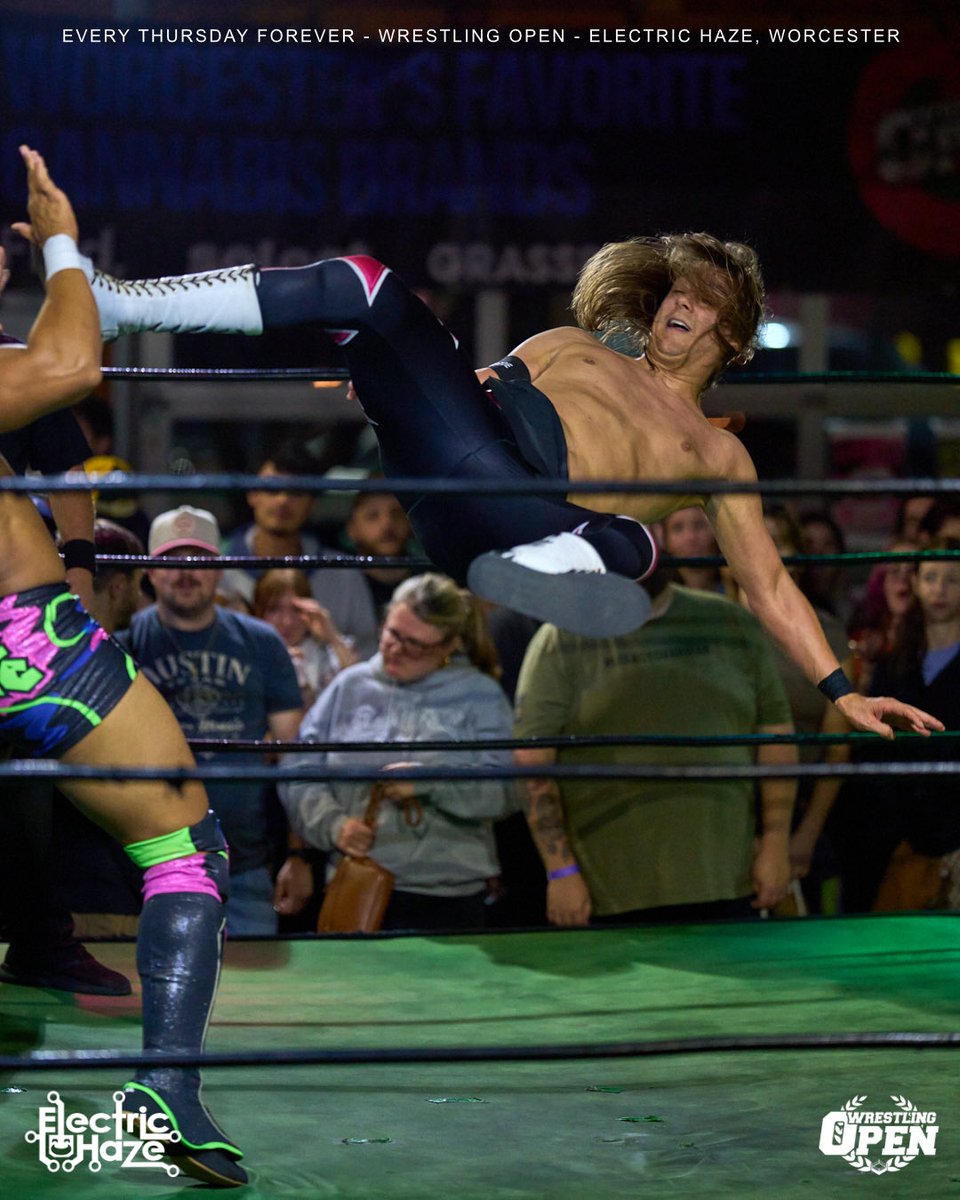 Tyler Hastings tweet media