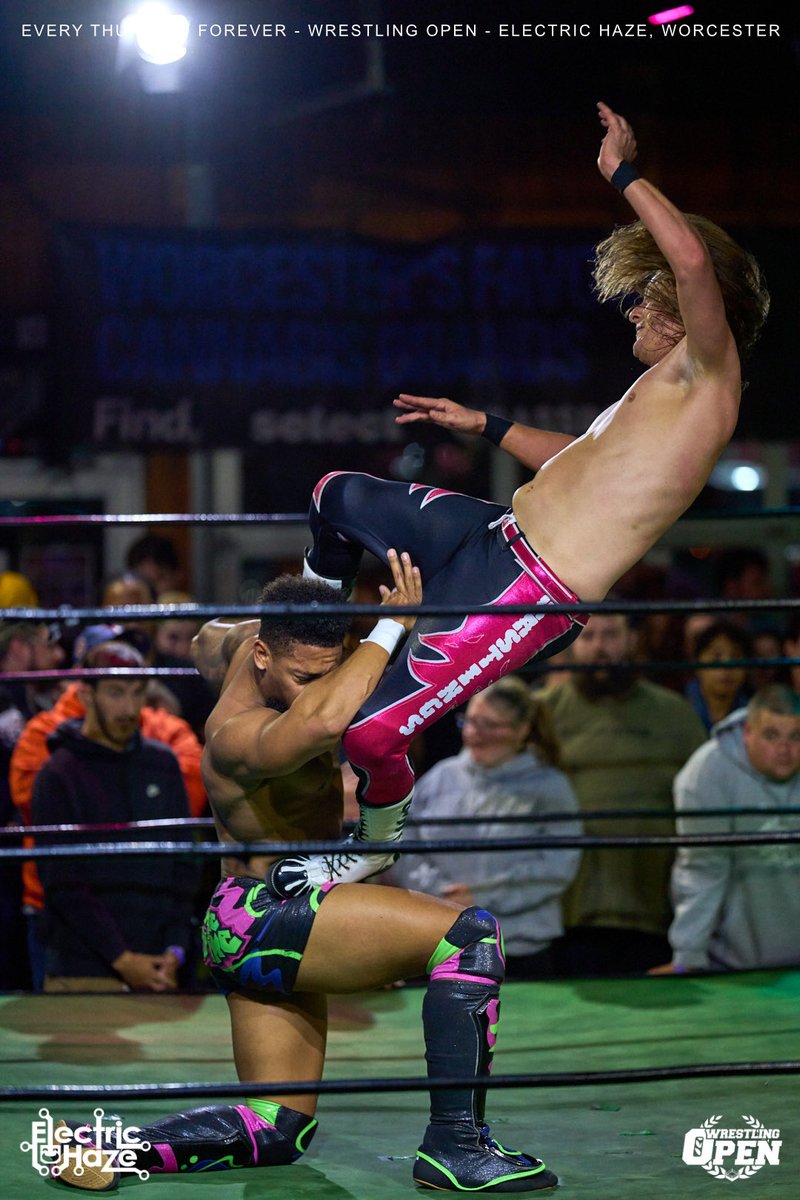 Tyler Hastings tweet media