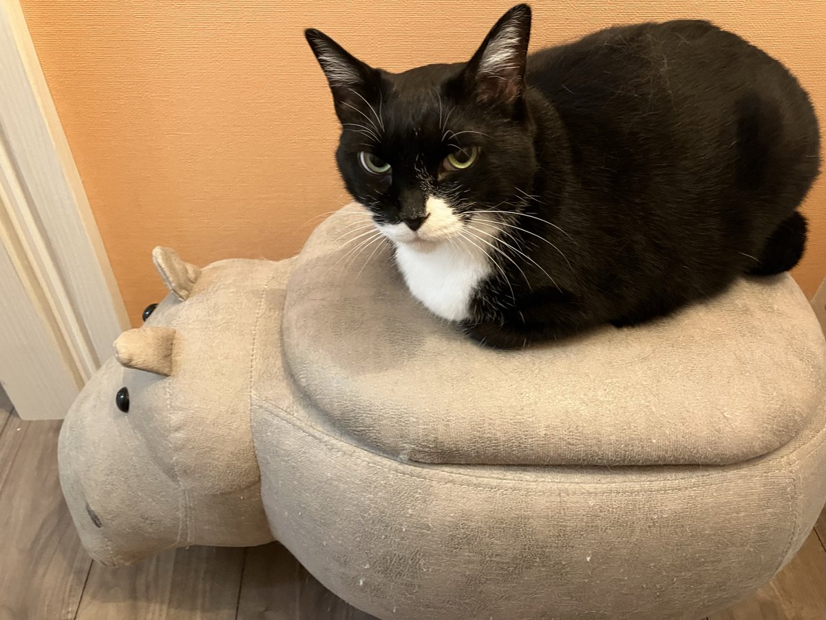 gigaburu1985's tweet image. 