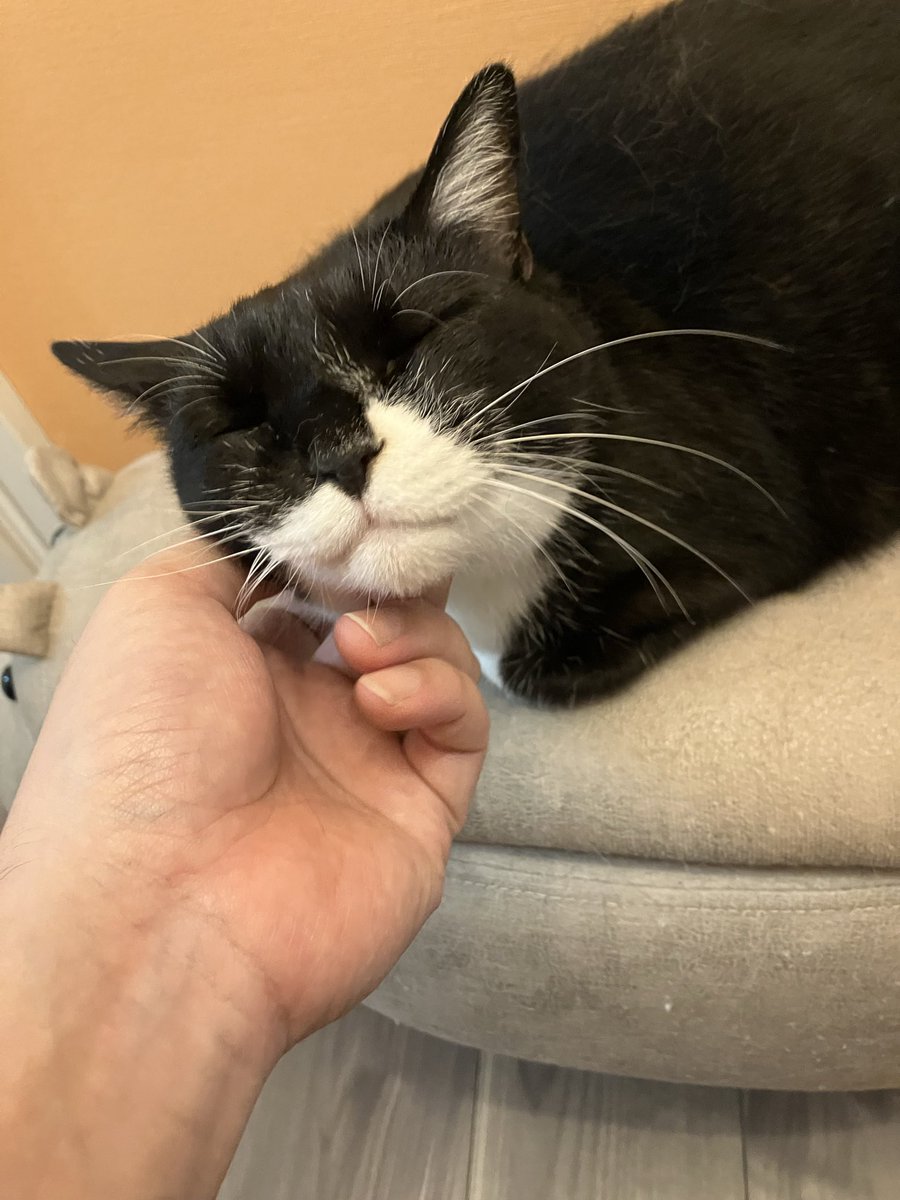 gigaburu1985's tweet image. 